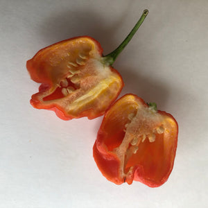 Wicked Ass Little 7 Pot (W.A.L.7) - Seeds - Bohica Pepper Hut 