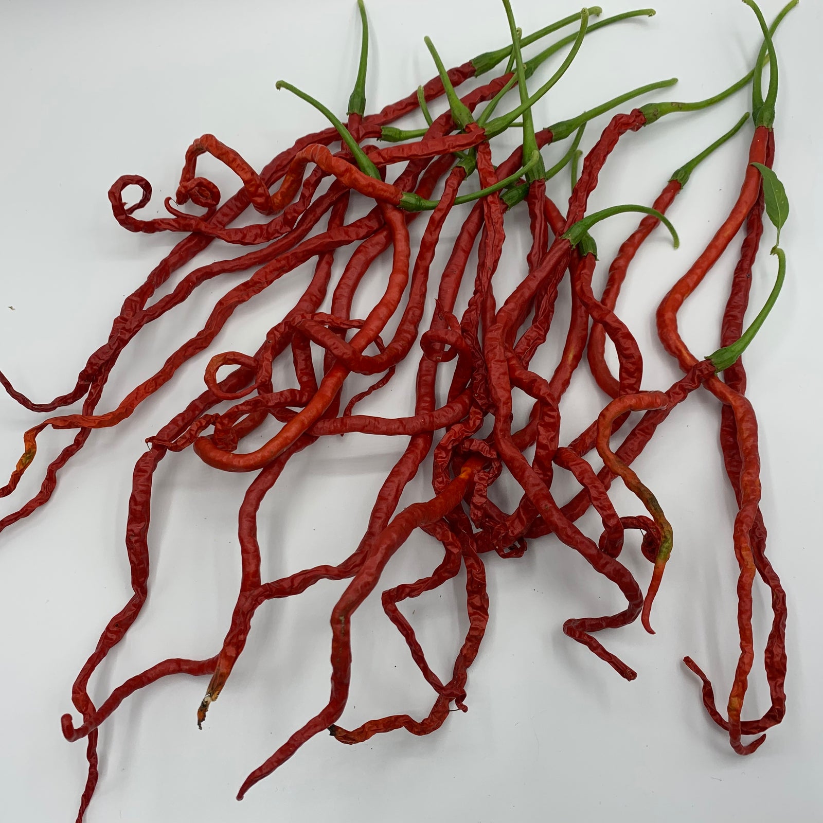 Thunder Mountain Longhorn - Seeds - Bohica Pepper Hut 