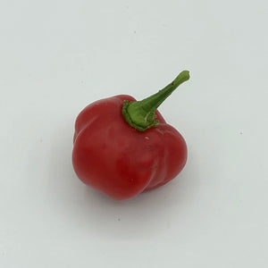 Red Savina - Seeds - Bohica Pepper Hut 