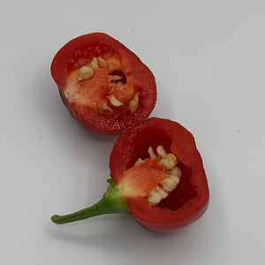 Red Savina - Seeds - Bohica Pepper Hut 