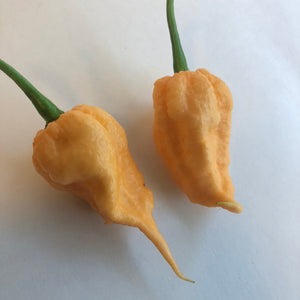 Peach Reaper (California Reaper) - Seeds - Bohica Pepper Hut 