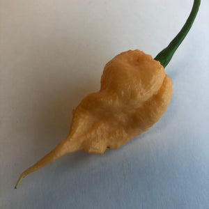 Peach Reaper (California Reaper) - Seeds - Bohica Pepper Hut 