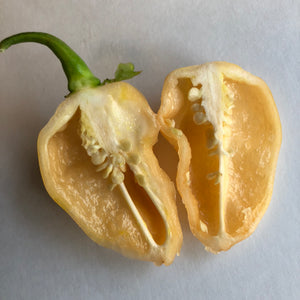 Peaches N Cream Ghost - Seeds - Bohica Pepper Hut 