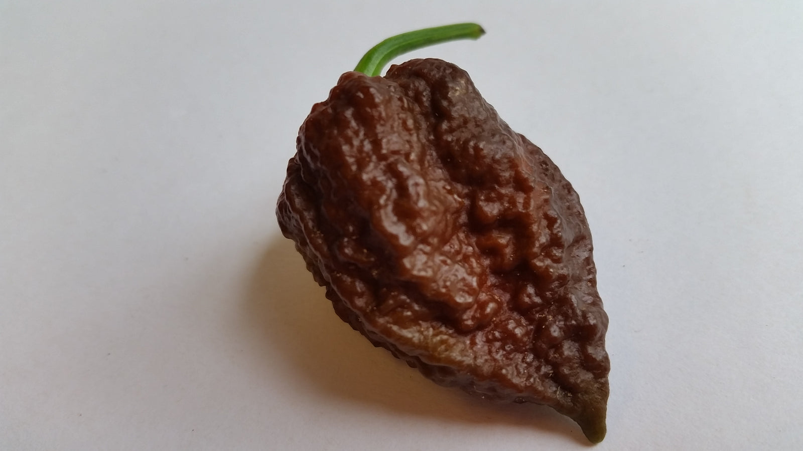 Big Black Mama - Seeds - Bohica Pepper Hut 