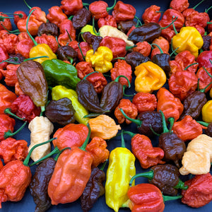 Fresh Super Hot Peppers - Mixed Box: Carolina Reapers, Ghost, Scorpion, ETC. - Bohica Pepper Hut 
