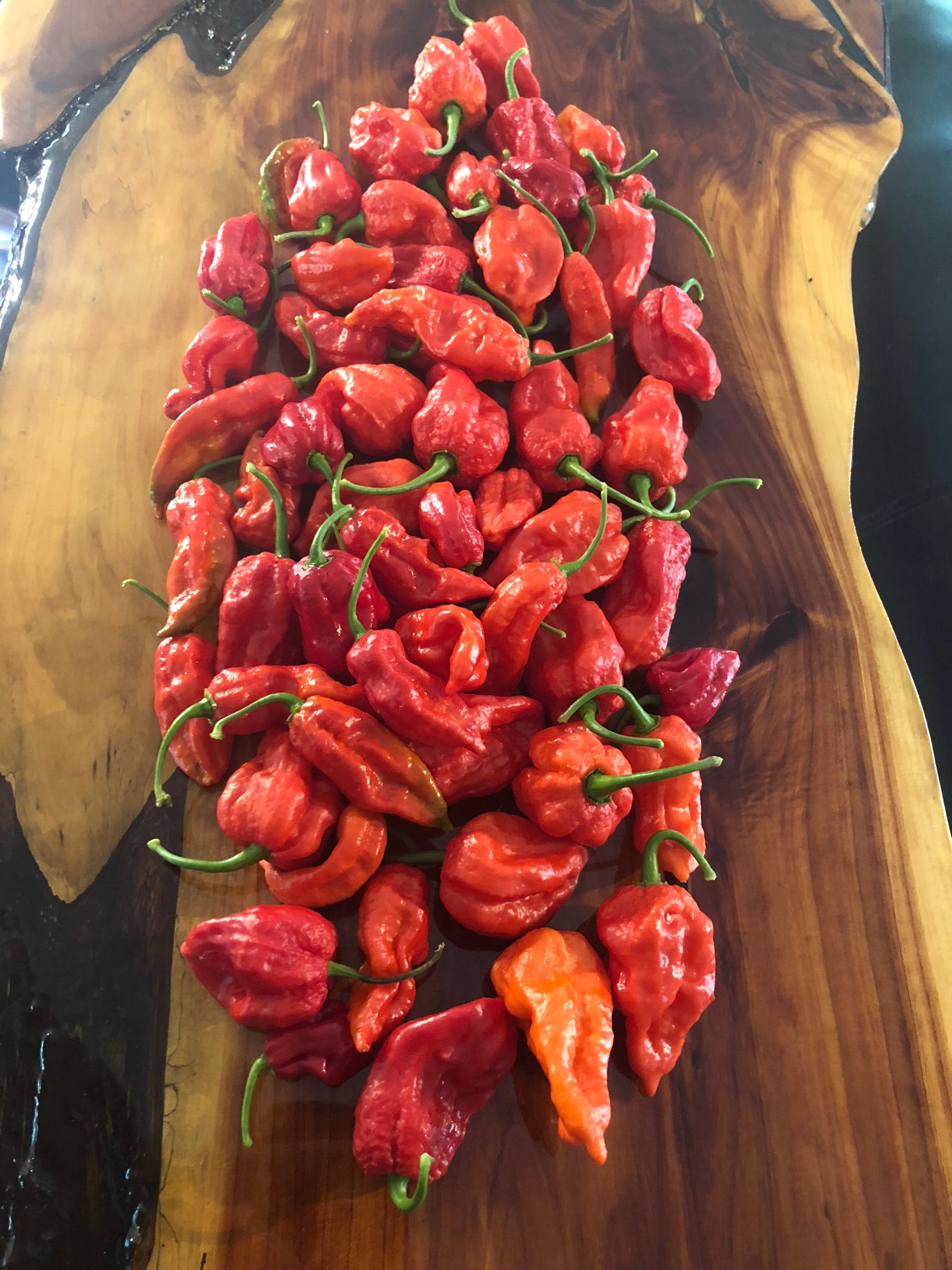 10 semi di peperoncino Carolina Reaper Red (HP22B) + guida + omaggio 10 semi di peperoncino Carolina Reaper Red (HP22B) + guida + omaggio