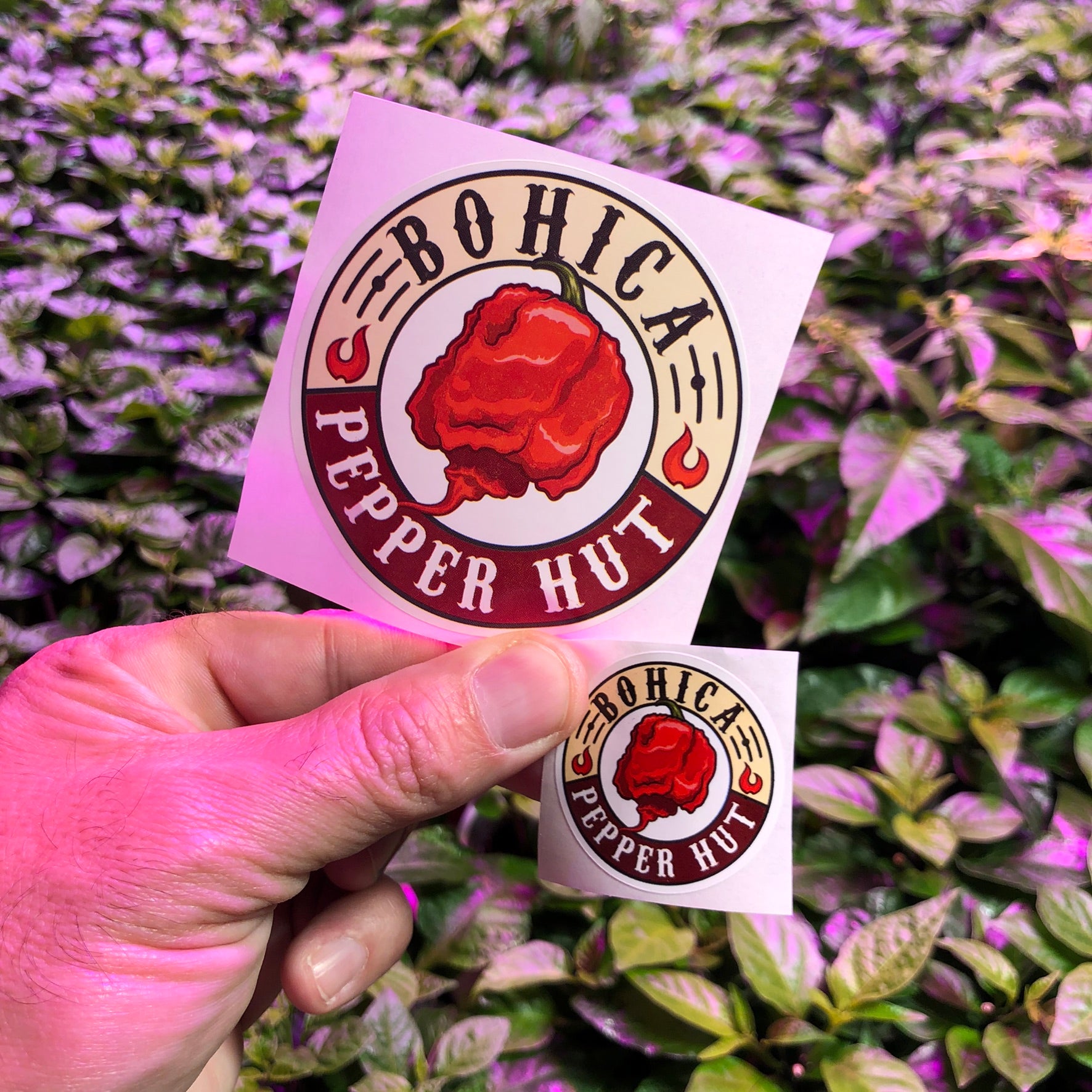 1.5 Inch Sticker - Bohica Pepper Hut - Bohica Pepper Hut 
