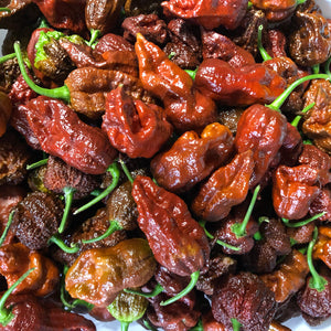 Fresh Super Hot Peppers - Mixed Brown/Chocolate Box: All Brown/Chocolate colored peppers - Bohica Pepper Hut 