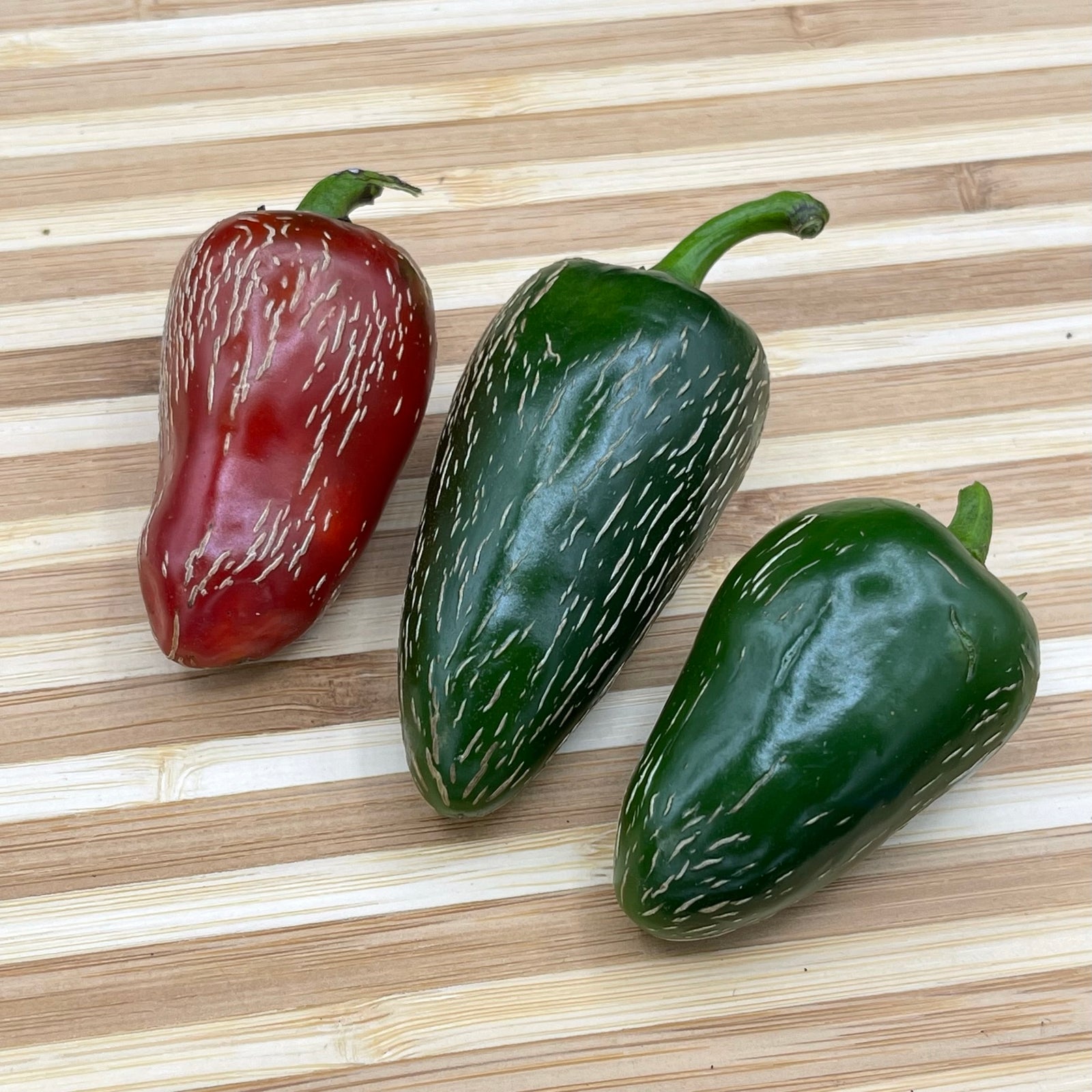 Jalapeño Traveler - Seeds - Bohica Pepper Hut 