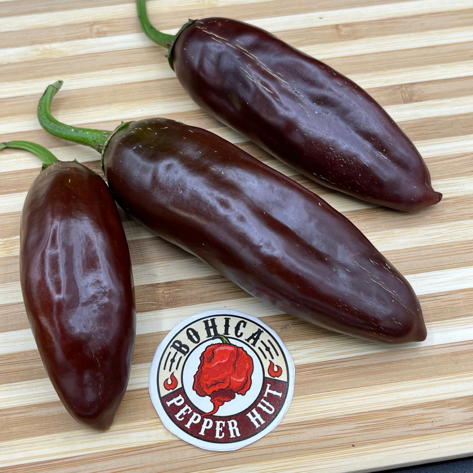 Brown Jalapeno - Seeds - Bohica Pepper Hut 