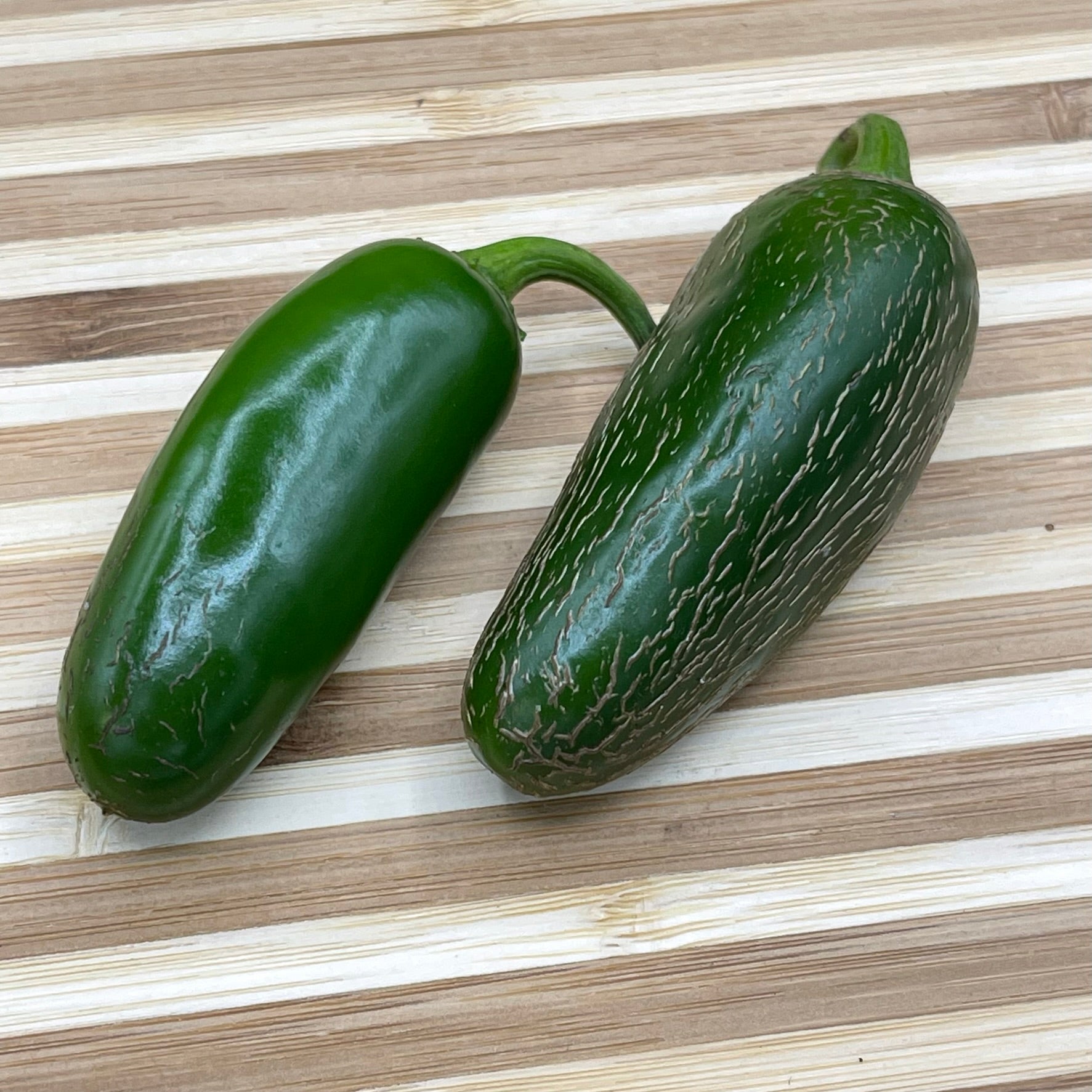 Jalapeño M