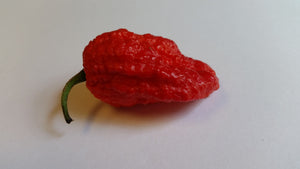 Naga Brain Red - Seeds - Bohica Pepper Hut 