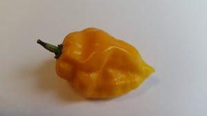 Naga Dorset Orange - Seeds - Bohica Pepper Hut 