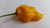 Yellow Naga - Seeds - Bohica Pepper Hut 